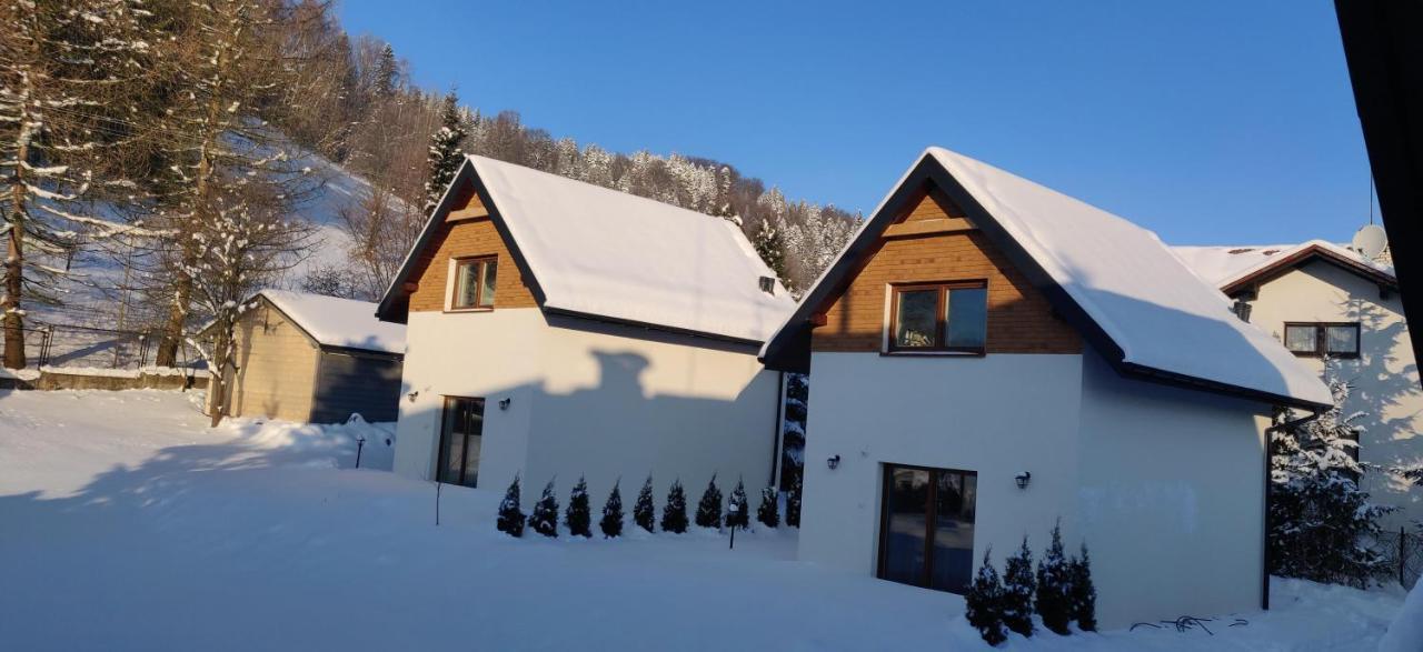 Beskid Ski Villa Висла Екстериор снимка