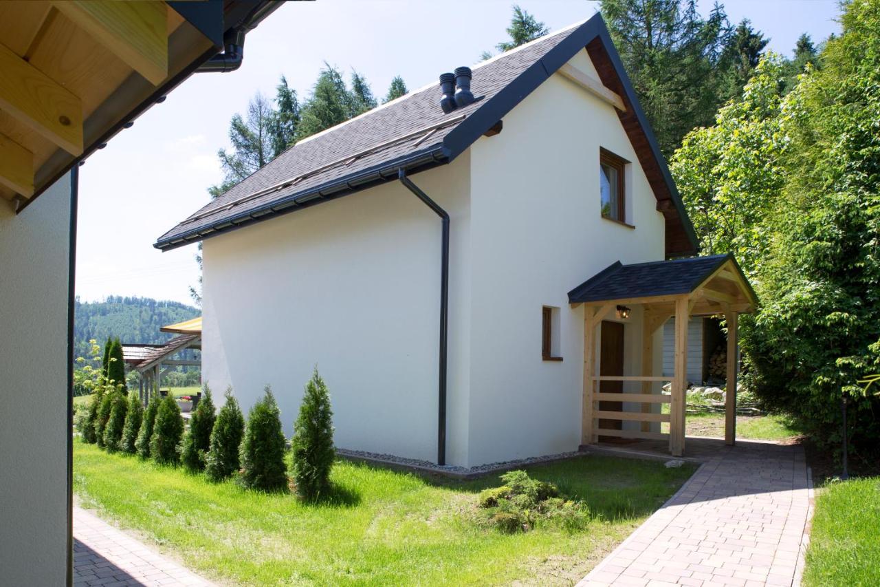 Beskid Ski Villa Висла Екстериор снимка