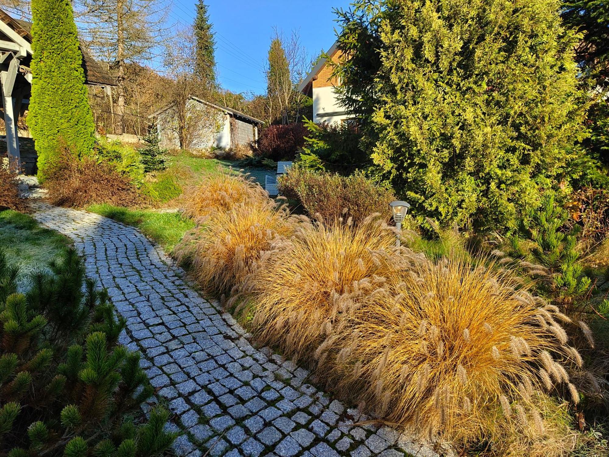 Beskid Ski Villa Висла Екстериор снимка