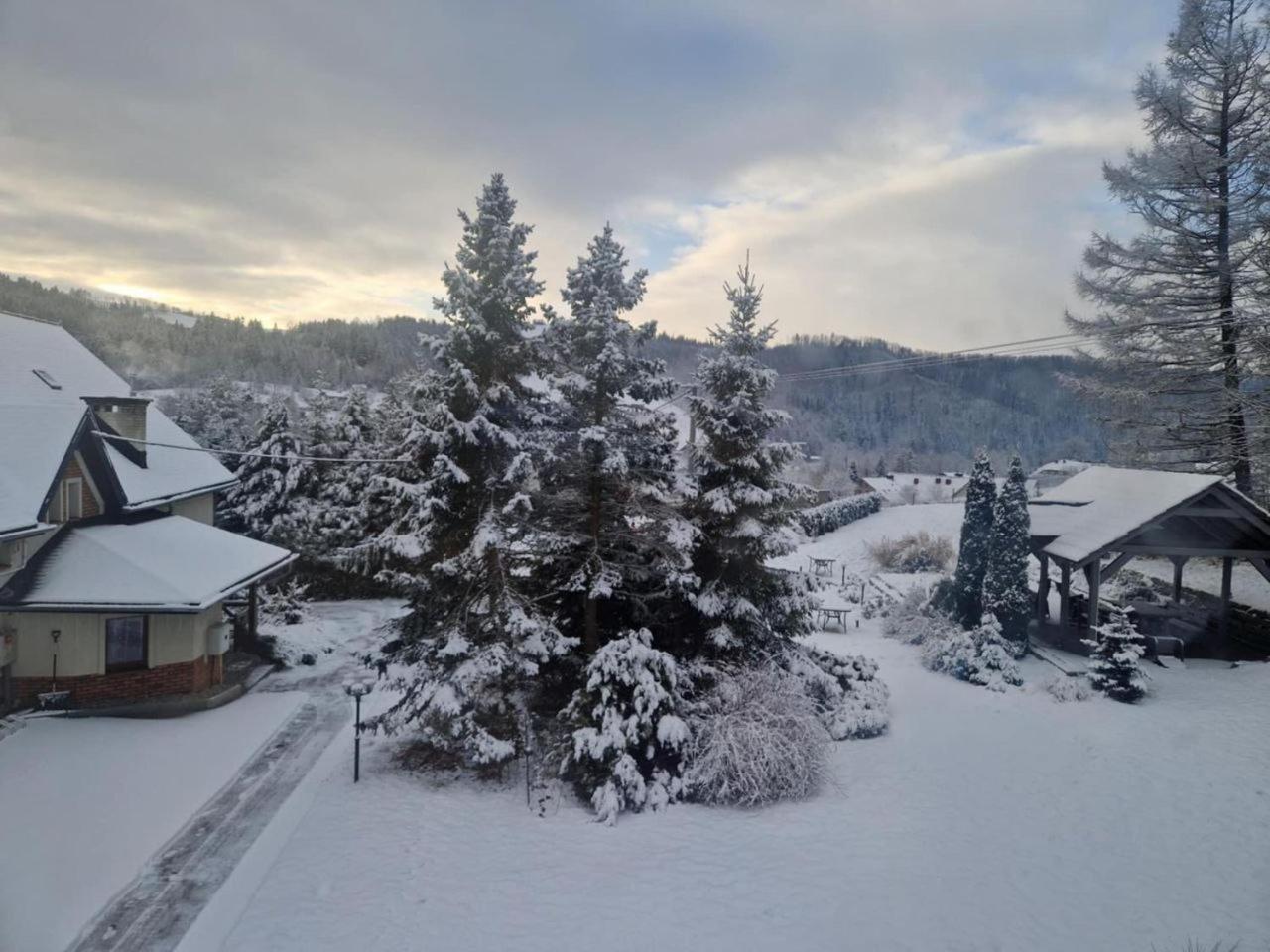 Beskid Ski Villa Висла Екстериор снимка